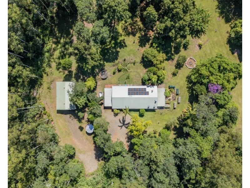 606 Darkwood Road, Bellingen NSW 2454