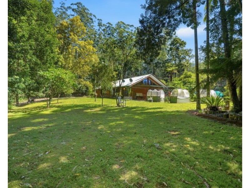 606 Darkwood Road, Bellingen NSW 2454