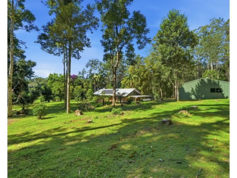 606 Darkwood Road, Bellingen NSW 2454