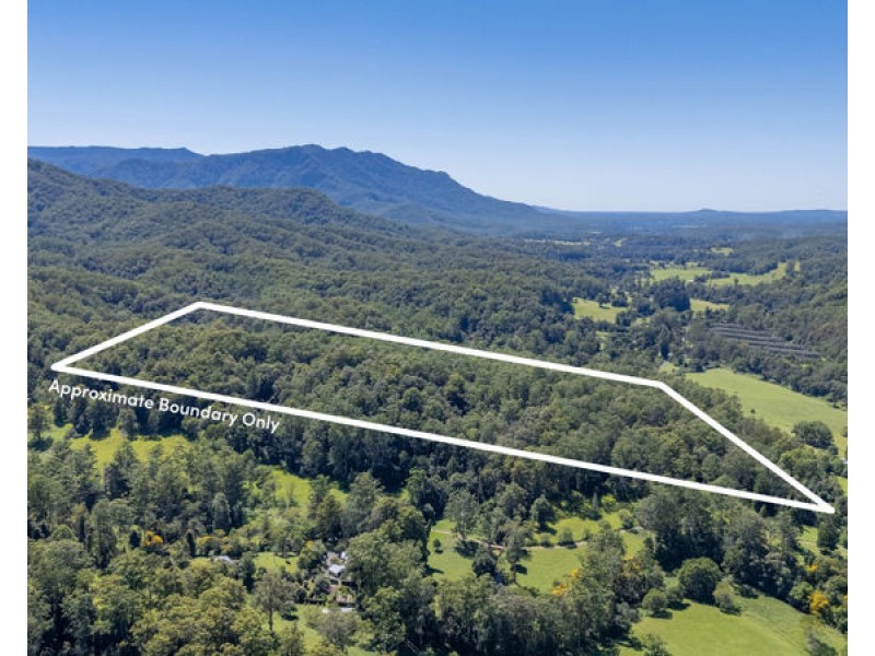 606 Darkwood Road, Bellingen NSW 2454
