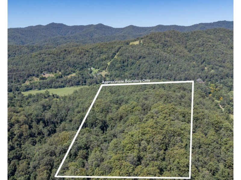 606 Darkwood Road, Bellingen NSW 2454