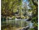 764 Summervilles Road, Bellingen NSW 2454