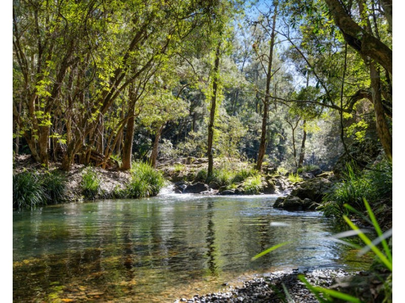 764 Summervilles Road, Bellingen NSW 2454