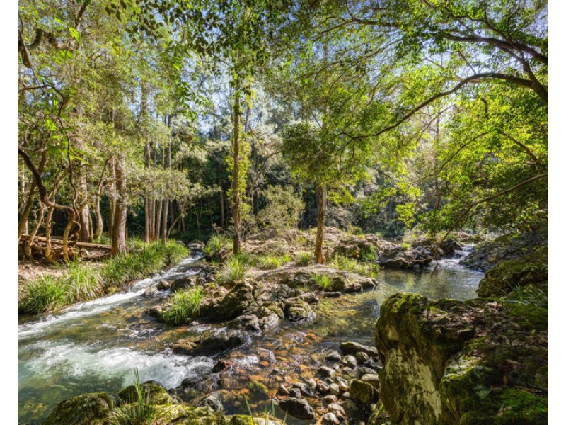 764 Summervilles Road, Bellingen NSW 2454
