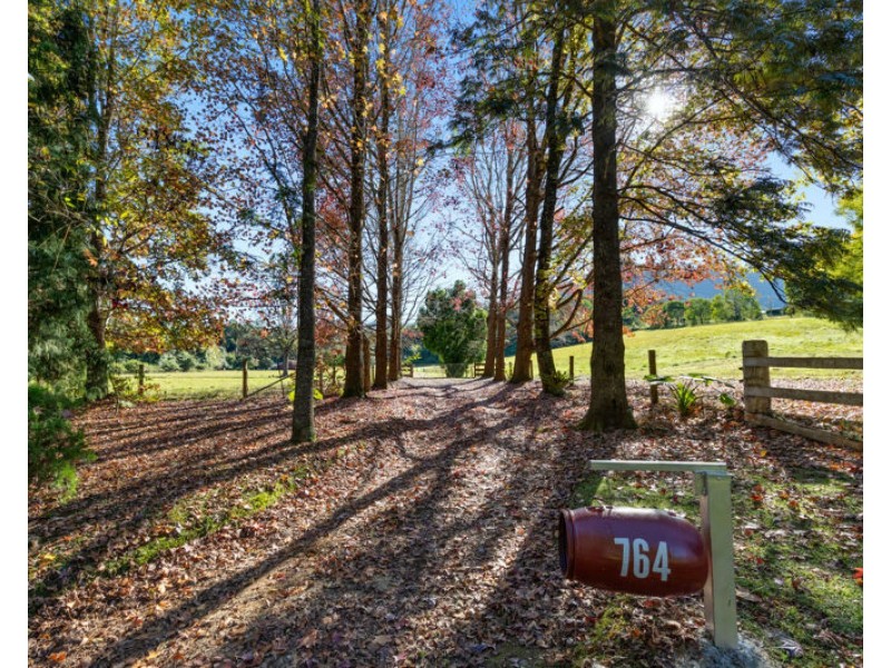 764 Summervilles Road, Bellingen NSW 2454