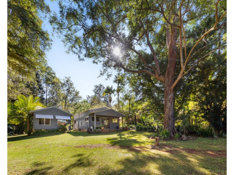 764 Summervilles Road, Bellingen NSW 2454