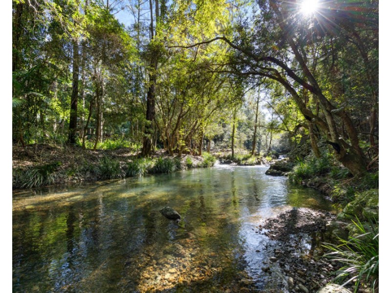 764 Summervilles Road, Bellingen NSW 2454