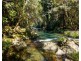 764 Summervilles Road, Bellingen NSW 2454