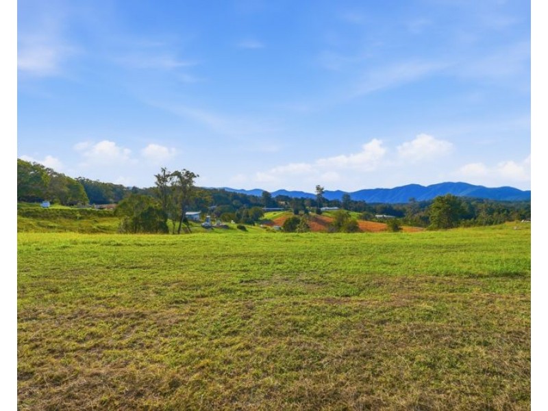 39 Whistler Place, Bellingen NSW 2454