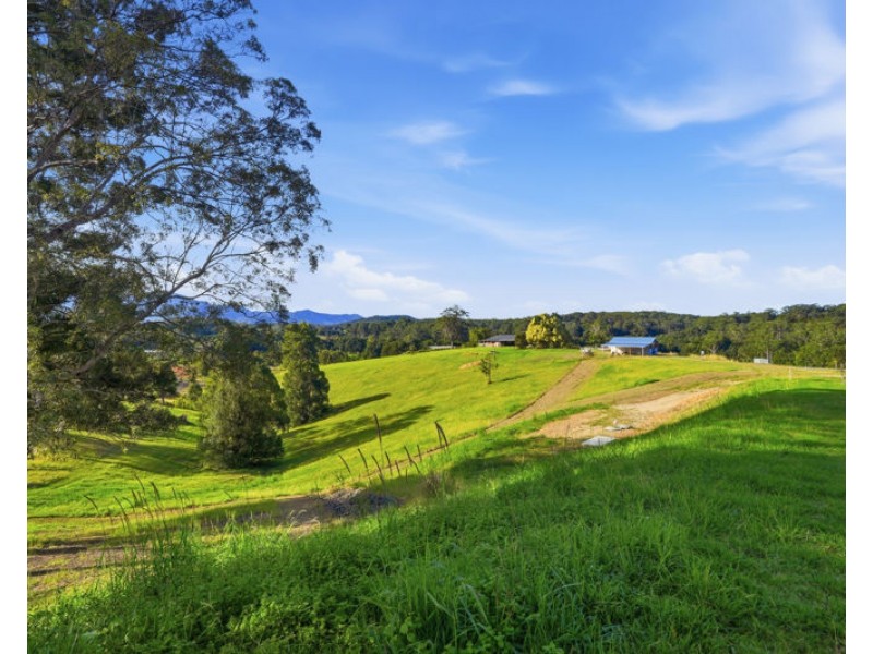 39 Whistler Place, Bellingen NSW 2454