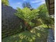 9 Lucas Ave, Bellingen NSW 2454