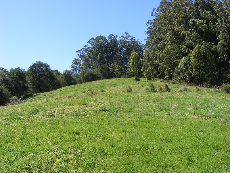 Lot 2 Bowraville Road, Bellingen NSW 2454