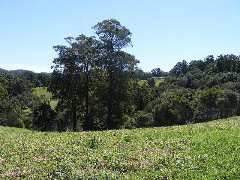 Lot 2 Bowraville Road, Bellingen NSW 2454
