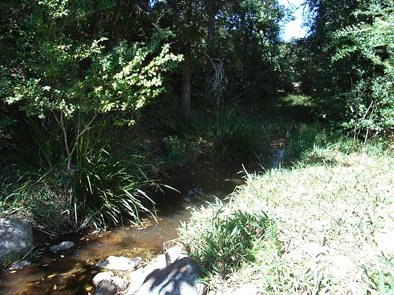 Lot 2 Bowraville Road, Bellingen NSW 2454
