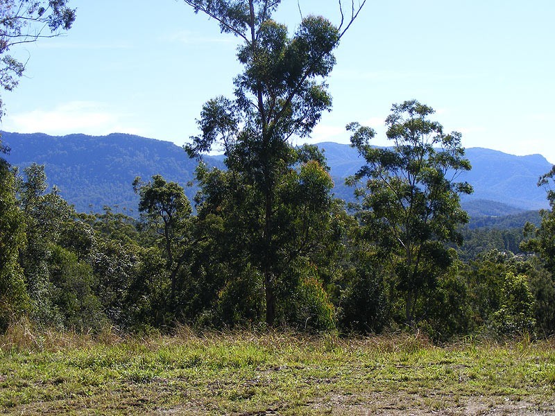 Lot 93 Mahers Road, Bellingen NSW 2454