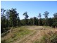 Lot 93 Mahers Road, Bellingen NSW 2454