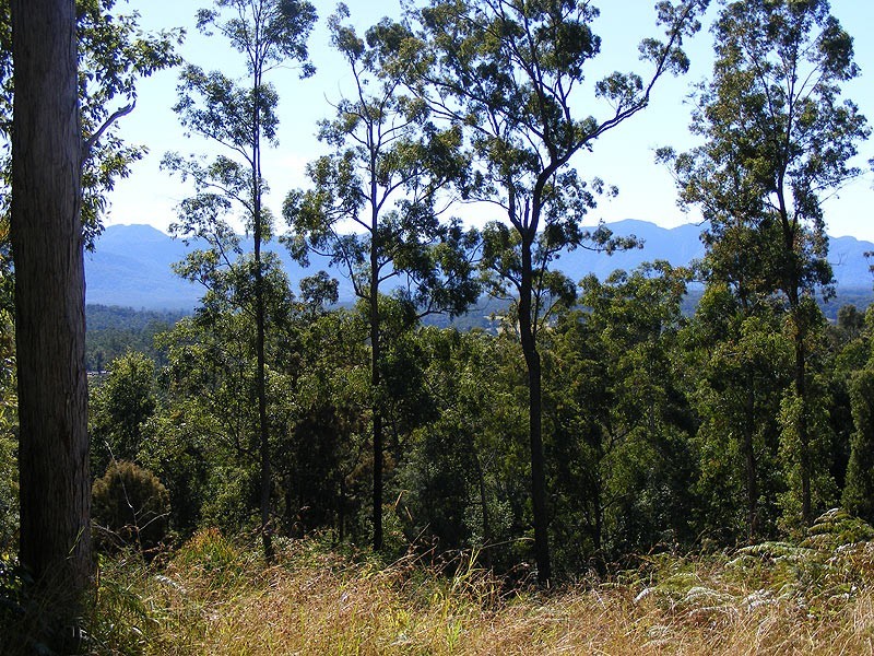 Lot 93 Mahers Road, Bellingen NSW 2454