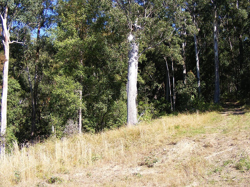 Lot 93 Mahers Road, Bellingen NSW 2454