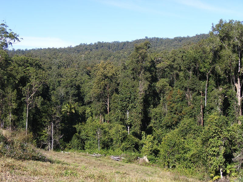 Lot 93 Mahers Road, Bellingen NSW 2454