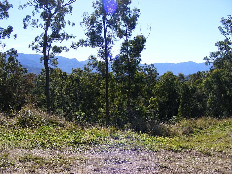 Lot 93 Mahers Road, Bellingen NSW 2454