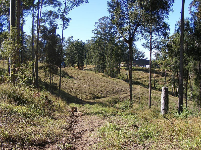 Lot 93 Mahers Road, Bellingen NSW 2454