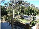 29 Bailey Street, Repton NSW 2454