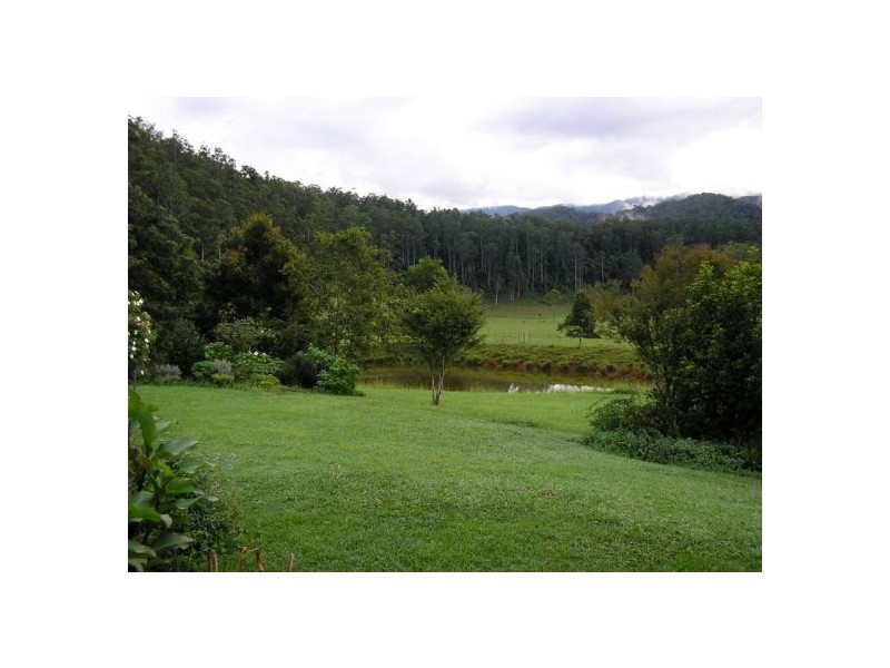 1898 Darkwood Rd Thora, Bellingen NSW 2454