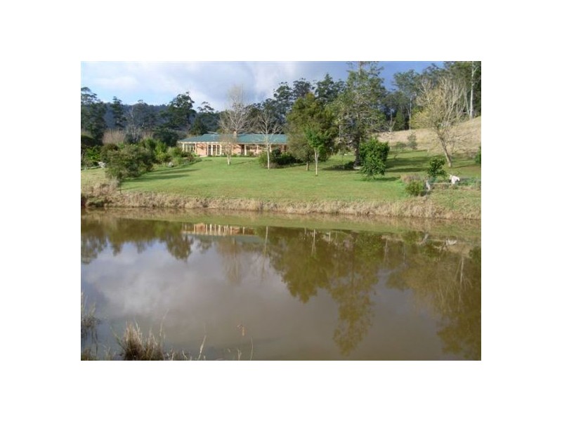 1898 Darkwood Rd Thora, Bellingen NSW 2454