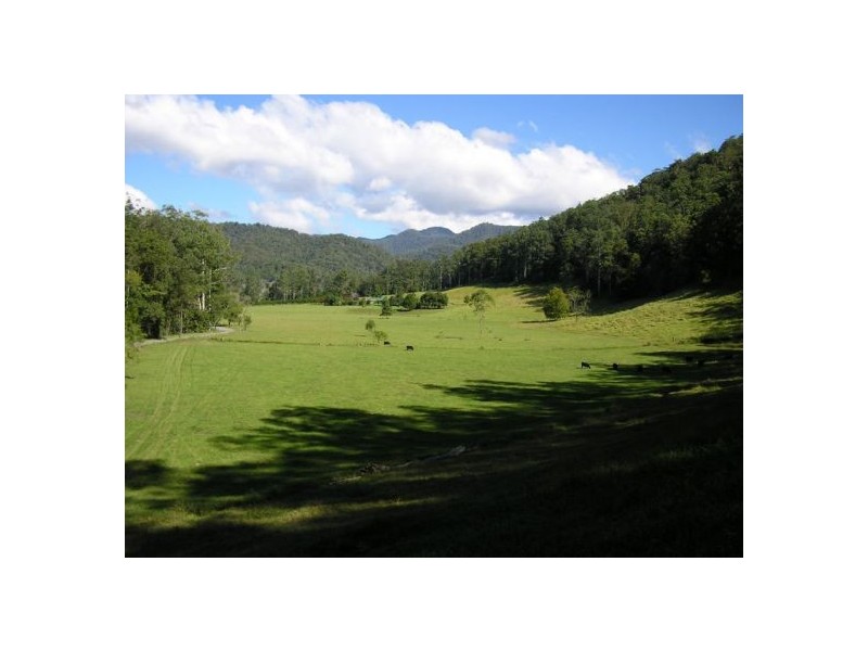 1898 Darkwood Rd Thora, Bellingen NSW 2454