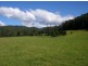 1898 Darkwood Rd Thora, Bellingen NSW 2454
