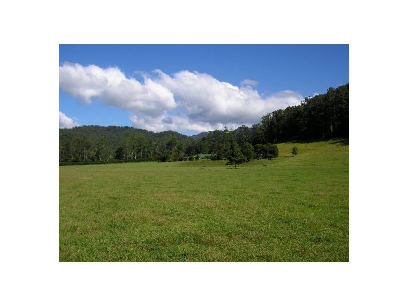 1898 Darkwood Rd Thora, Bellingen NSW 2454