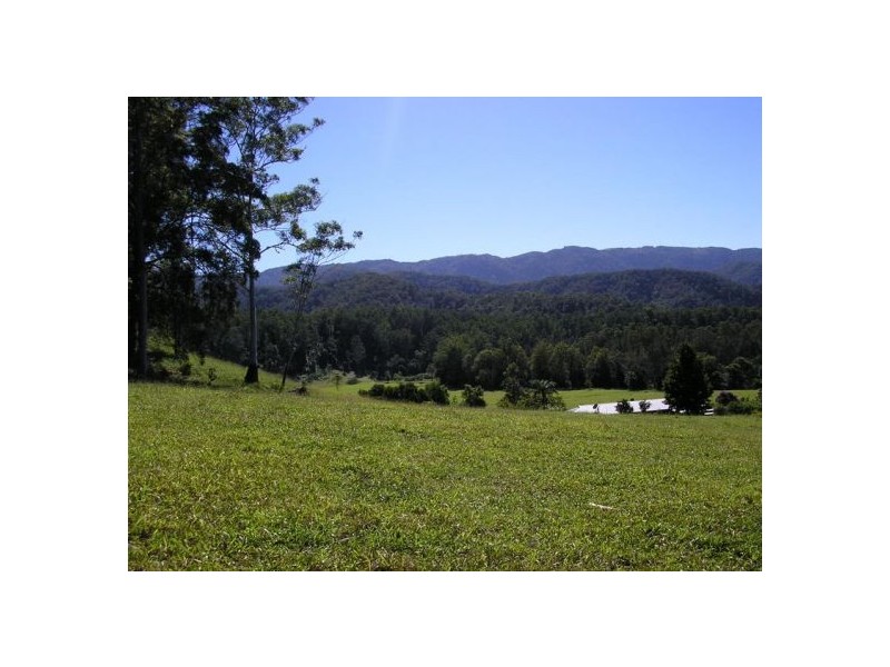 1898 Darkwood Rd Thora, Bellingen NSW 2454