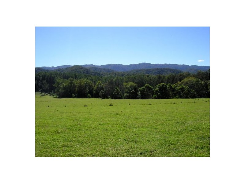 1898 Darkwood Rd Thora, Bellingen NSW 2454
