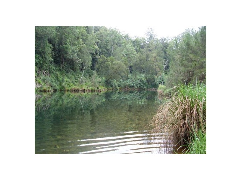 1898 Darkwood Rd Thora, Bellingen NSW 2454
