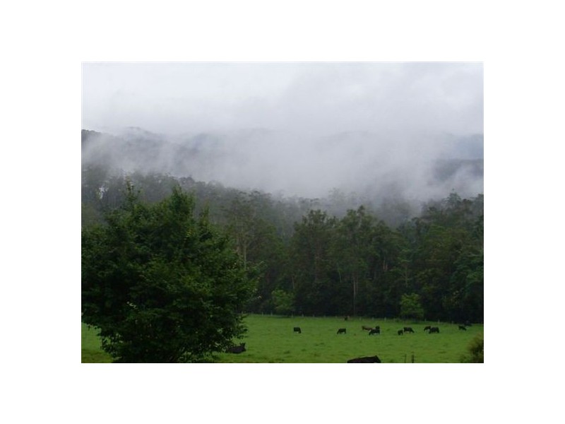 1898 Darkwood Rd Thora, Bellingen NSW 2454