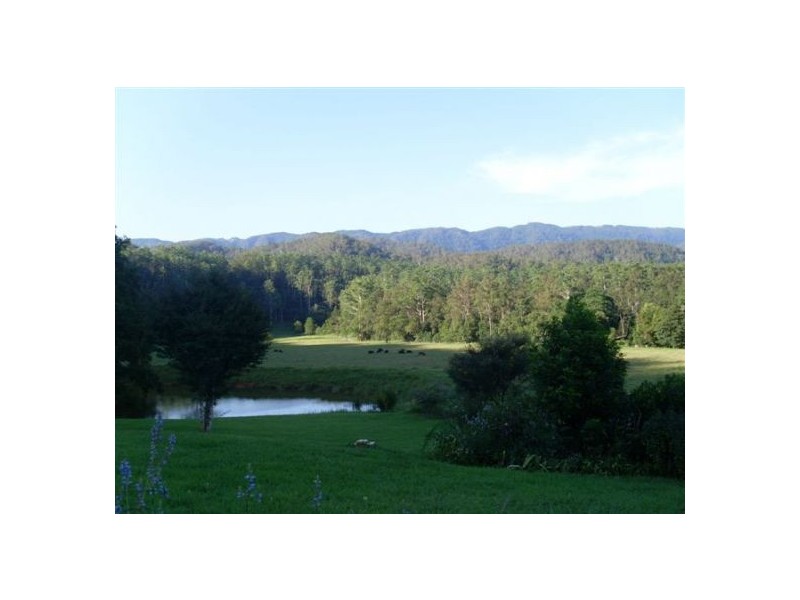 1898 Darkwood Rd Thora, Bellingen NSW 2454