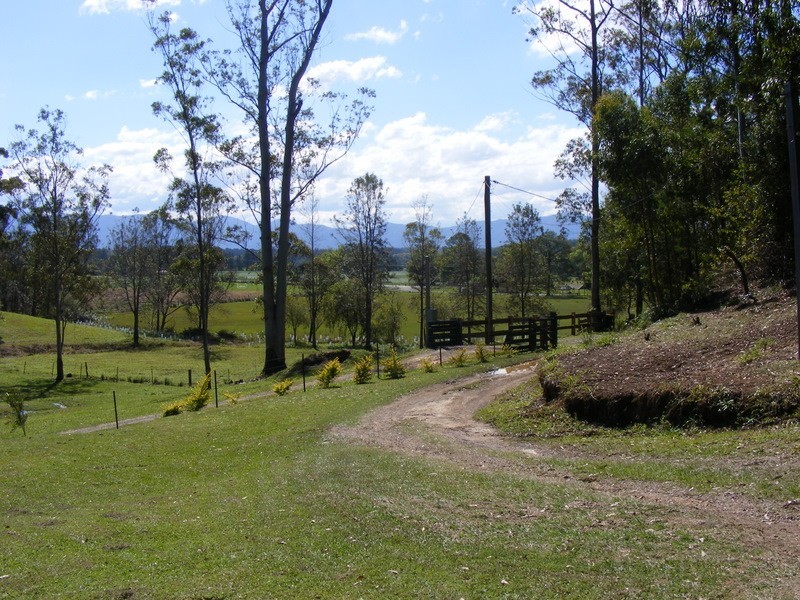 209 Maydwell St Fernmount, Bellingen NSW 2454