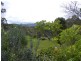 50 McDougall Place Fernmount, Bellingen NSW 2454