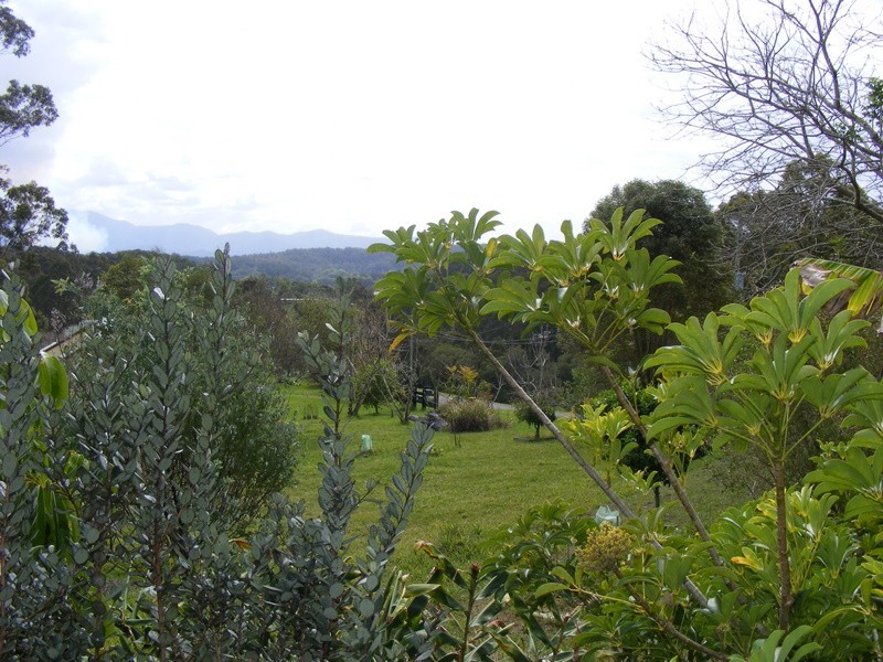 50 McDougall Place Fernmount, Bellingen NSW 2454