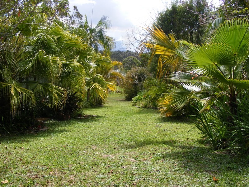 50 McDougall Place Fernmount, Bellingen NSW 2454