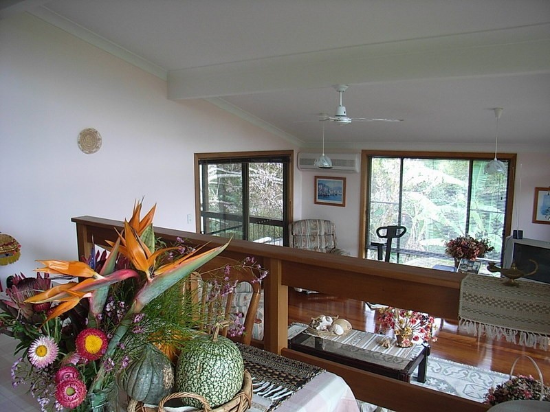 50 McDougall Place Fernmount, Bellingen NSW 2454