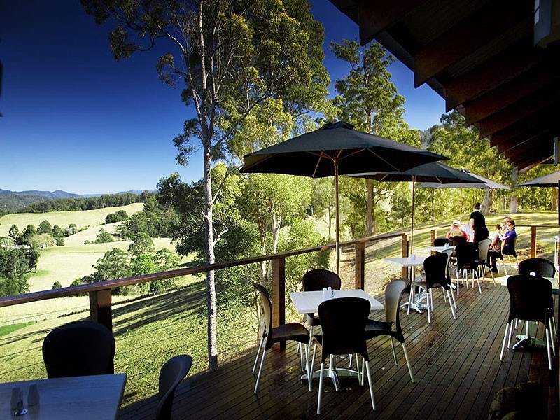 2749 Waterfall Way, Bellingen NSW 2454