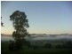 2749 Waterfall Way, Bellingen NSW 2454