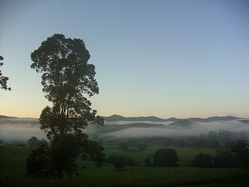 2749 Waterfall Way, Bellingen NSW 2454