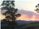 2749 Waterfall Way, Bellingen NSW 2454
