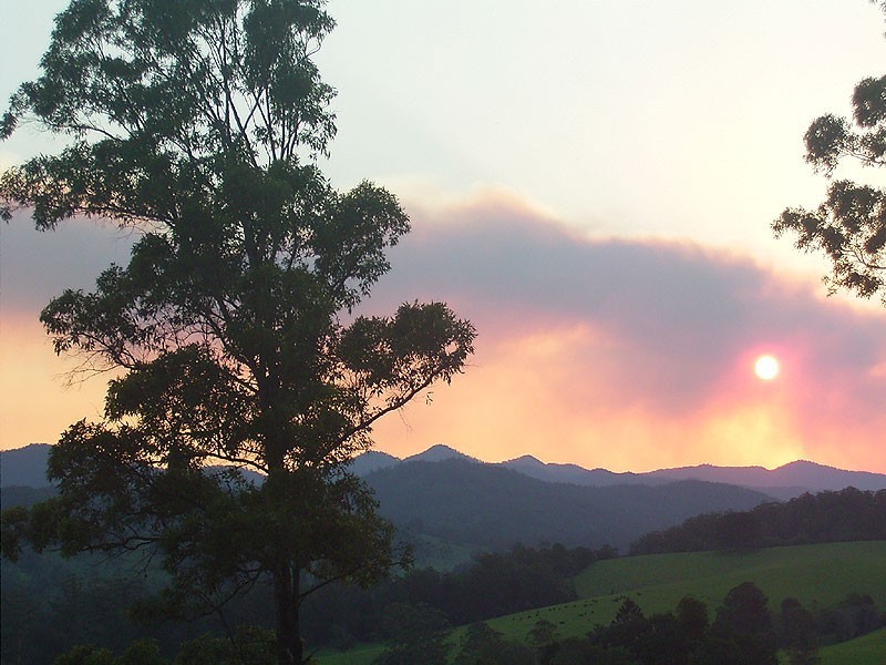 2749 Waterfall Way, Bellingen NSW 2454