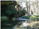 2749 Waterfall Way, Bellingen NSW 2454