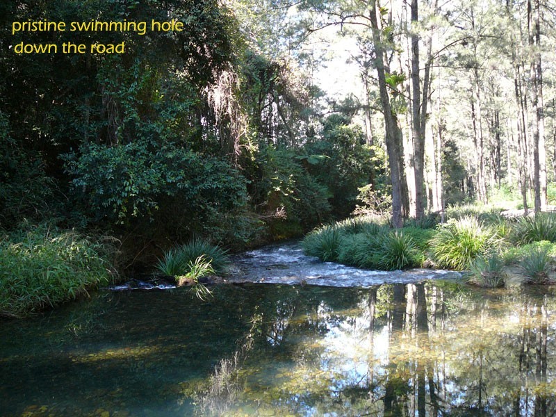 2749 Waterfall Way, Bellingen NSW 2454