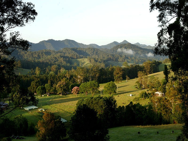 2749 Waterfall Way, Bellingen NSW 2454