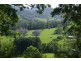 2749 Waterfall Way, Bellingen NSW 2454